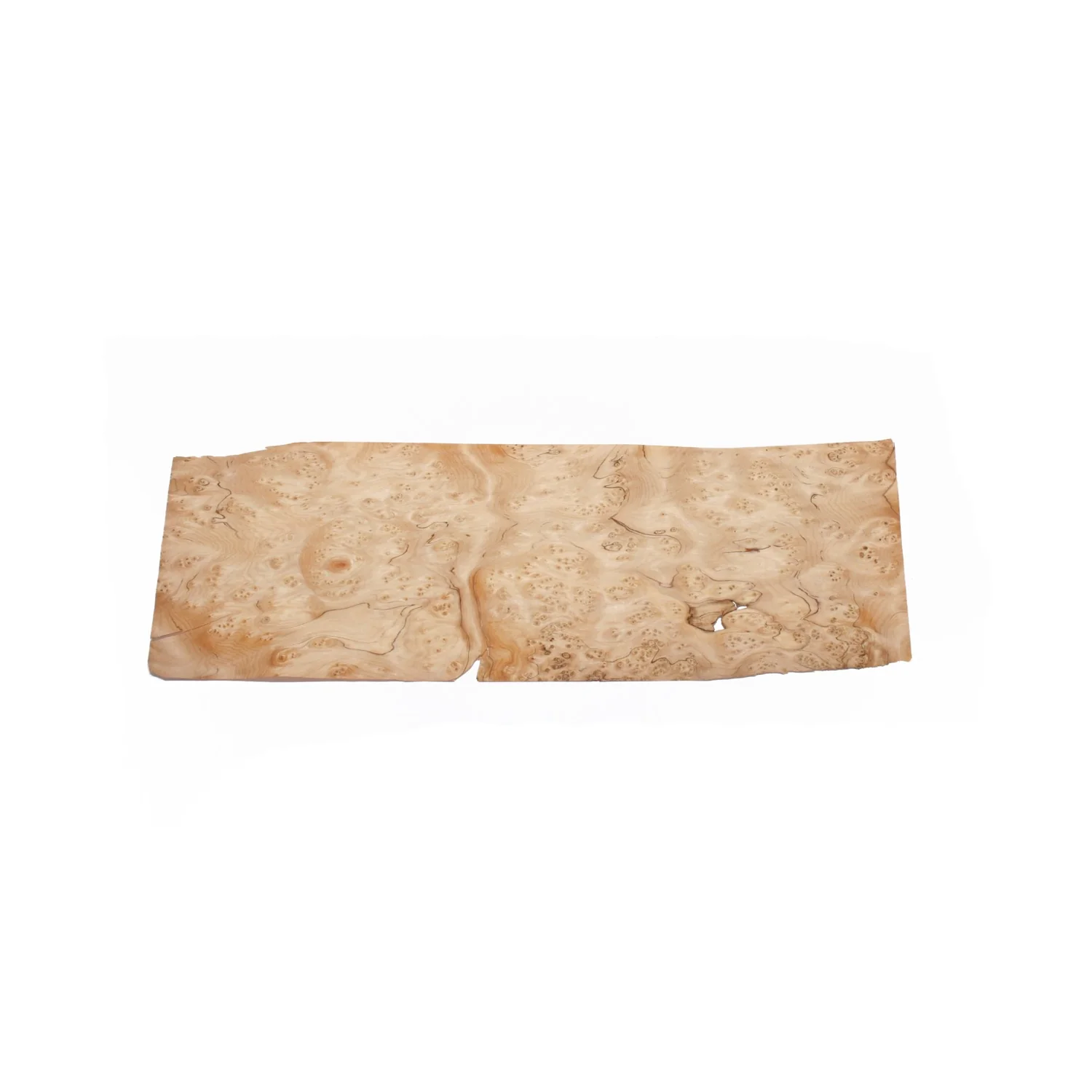 Fir Burl - Image 5