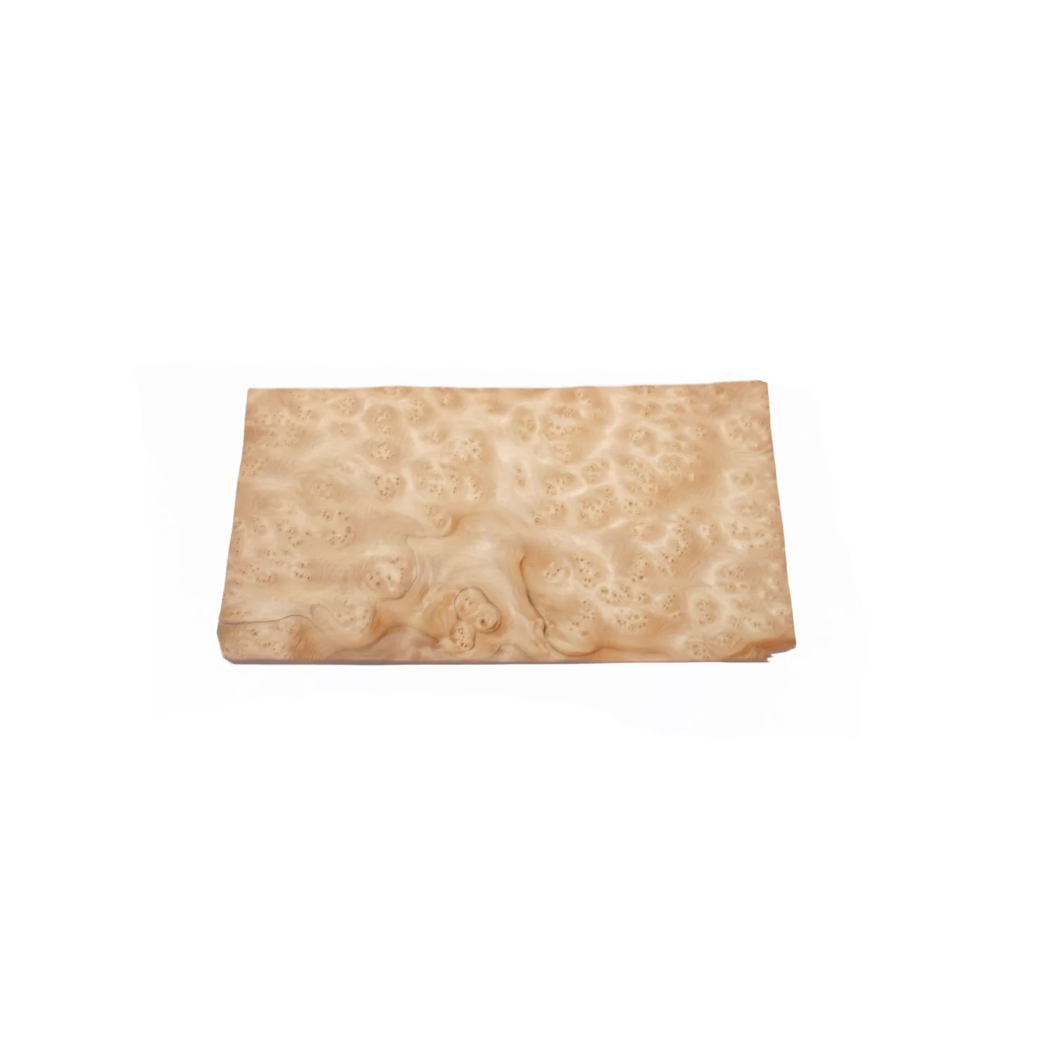 Fir Burl - Image 6